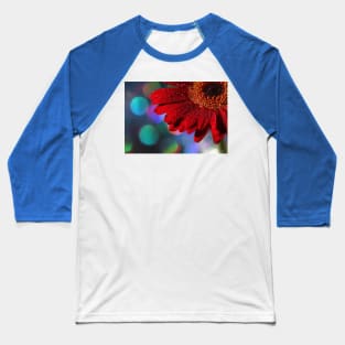 Red Rainbow Gerbera Baseball T-Shirt